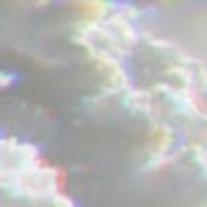 Meet your Posher, Zoey